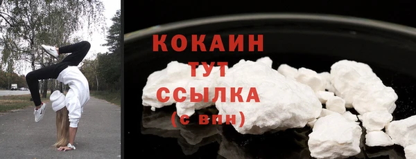 шишки Армянск
