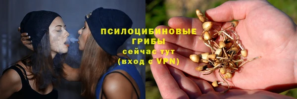 шишки Армянск
