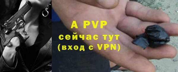 ешки Арсеньев