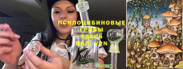 ешки Арсеньев