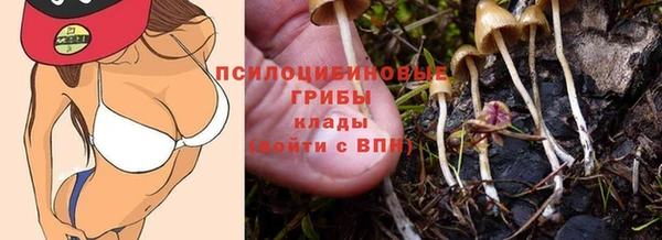 шишки Армянск