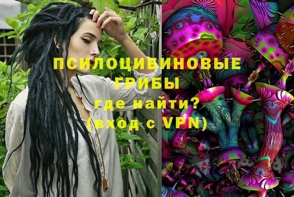 эйфоретик Аркадак